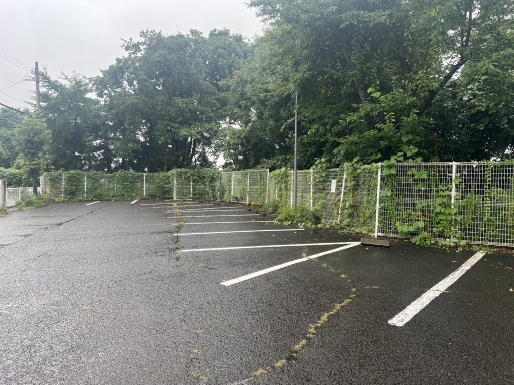 草刈り1(before)